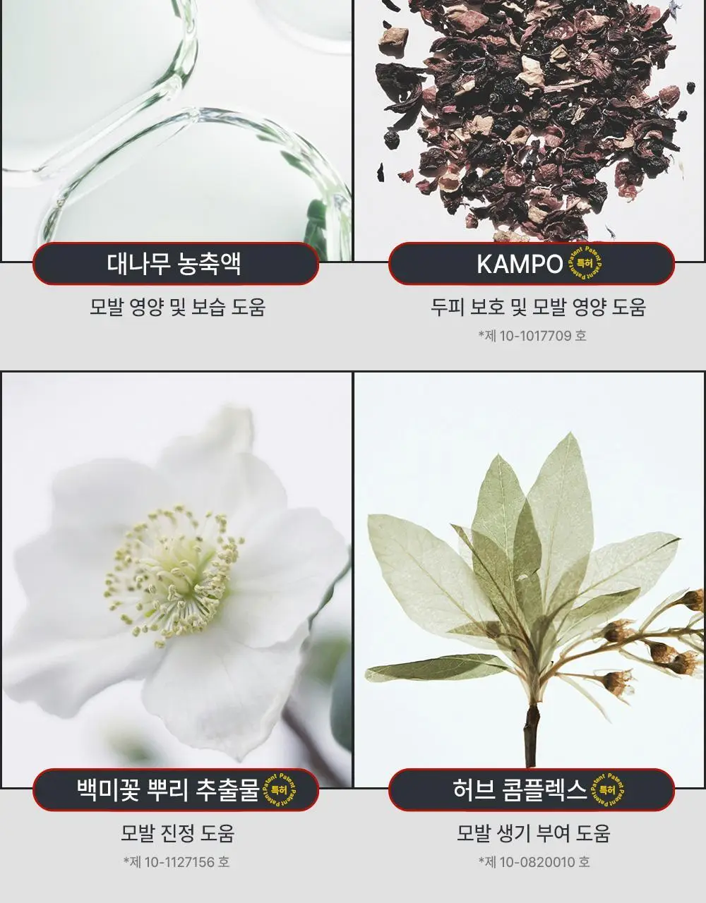 [변우석 Pick]다슈 포 맨 밤부 포레스트 몬스터 하드 스프레이 180ml 단품 상세페이지 27